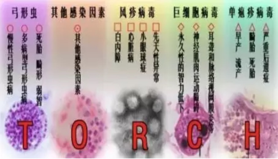 准爸爸妈妈看过来！我院也可以做TORCH筛查啦！