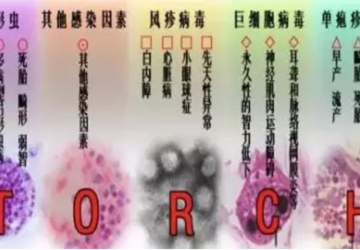 准爸爸妈妈看过来！我院也可以做TORCH筛查啦！