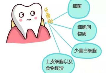 科普 ▏关于“老掉牙”，“年纪”表示不背锅！