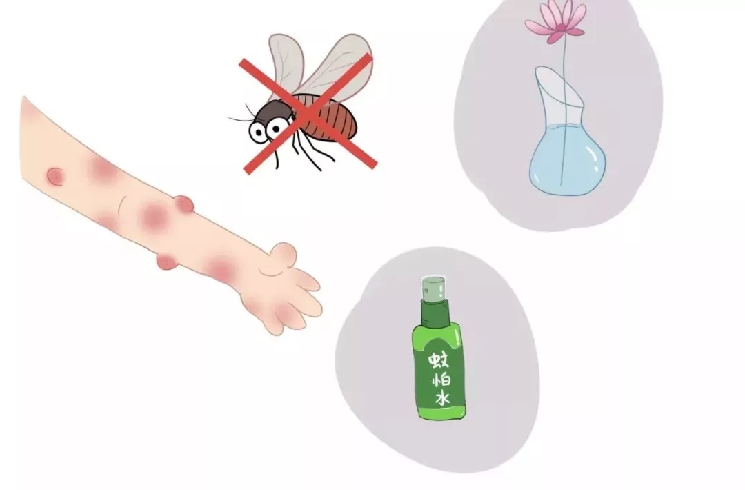 【科普】不想独得蚊子的“恩宠”？防蚊灭蚊是“王道”！