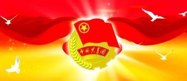 实力圈粉了！我院荣获顺德区共青团多项荣誉称号！