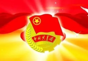 实力圈粉了！我院荣获顺德区共青团多项荣誉称号！