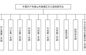 基层党组织架构图